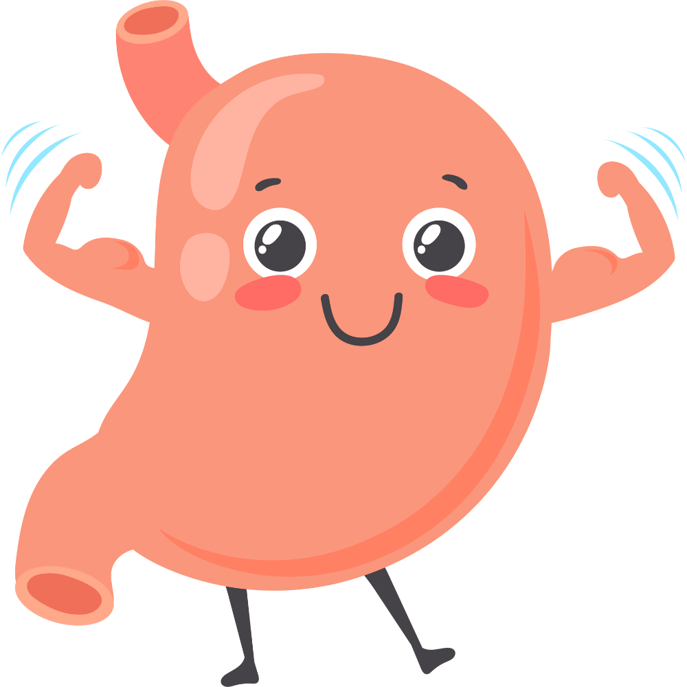 “Natural foods and ingredients that improve digestion and gut health”