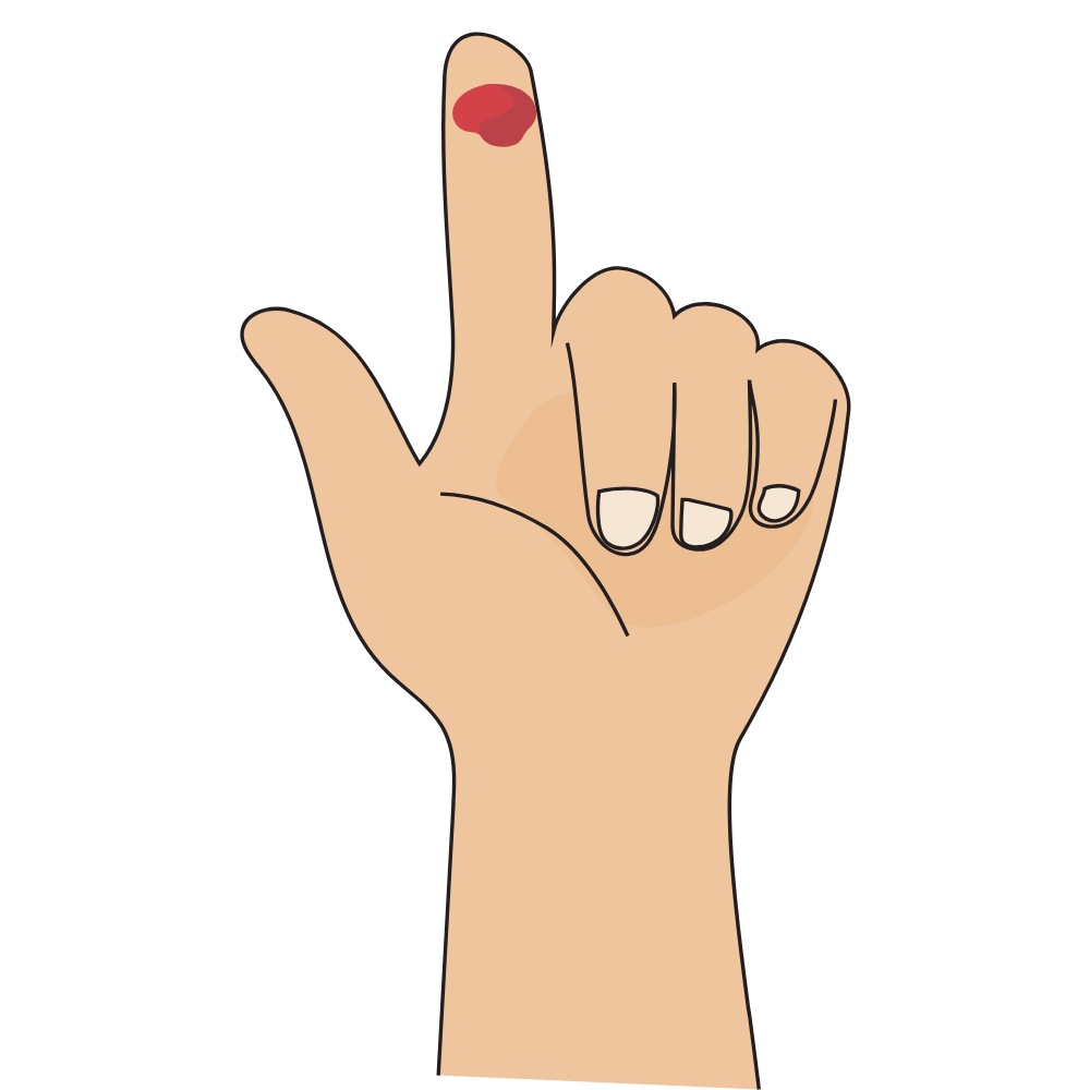 “Natural foods and ingredients that support wound healing and tissue repair”