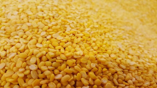 Amazing Moong Dal Or Yellow Dal Nutrition Value 1 Moongal