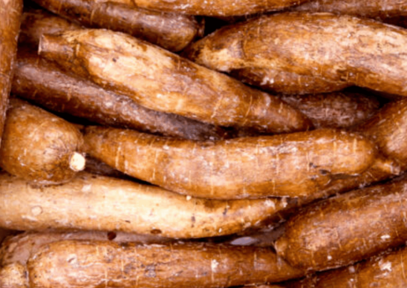 Great Gluten-Free Alternative For Healthy Living