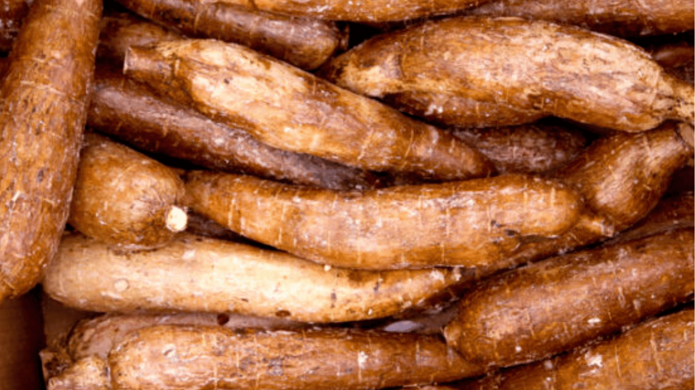 Great Gluten-Free Alternative For Healthy Living