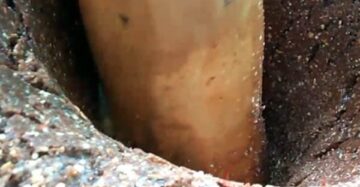 Best Cooking Oil Making Process