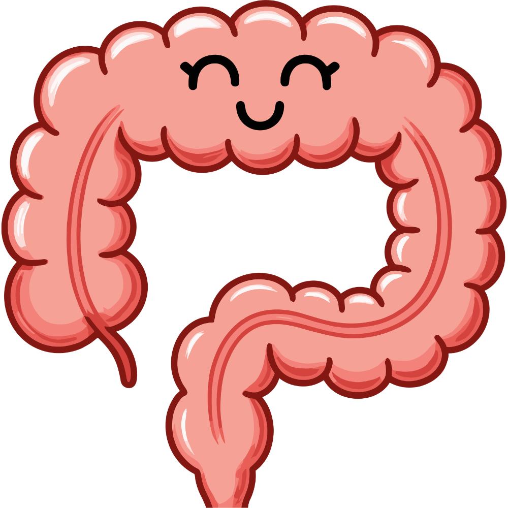 "Natural foods and herbs that calm the gut and support digestion"