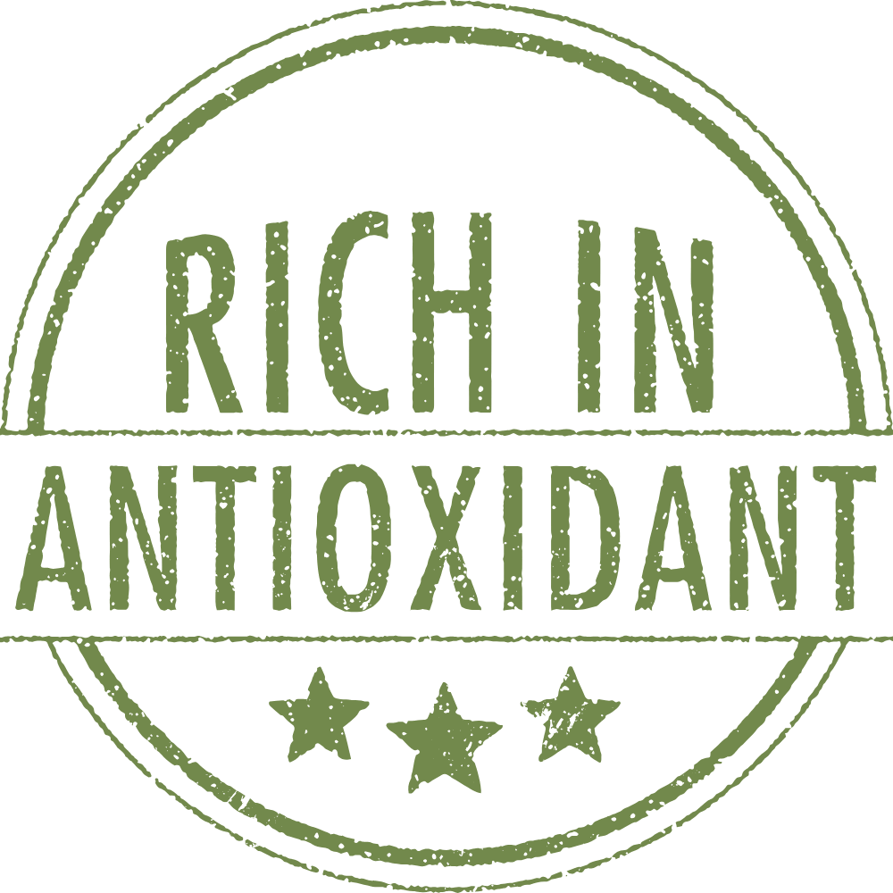 Natural foods and herbs rich in antioxidants for overall wellness"