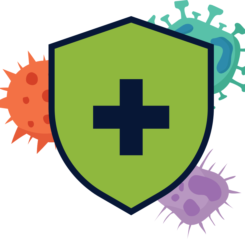 Chicken 65 masala powder – natural spice blend with anti-inflammatory properties that support overall well-being