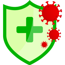 "Natural Immunity Boost with Tulsi Honey" - Highlights the natural aspect of the product.