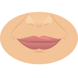 Skin and lips: A close-up of litchi honey, used as a natural facial mask or lip scrub.