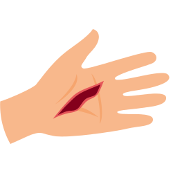 Natural remedy for wound care: Neem honey.