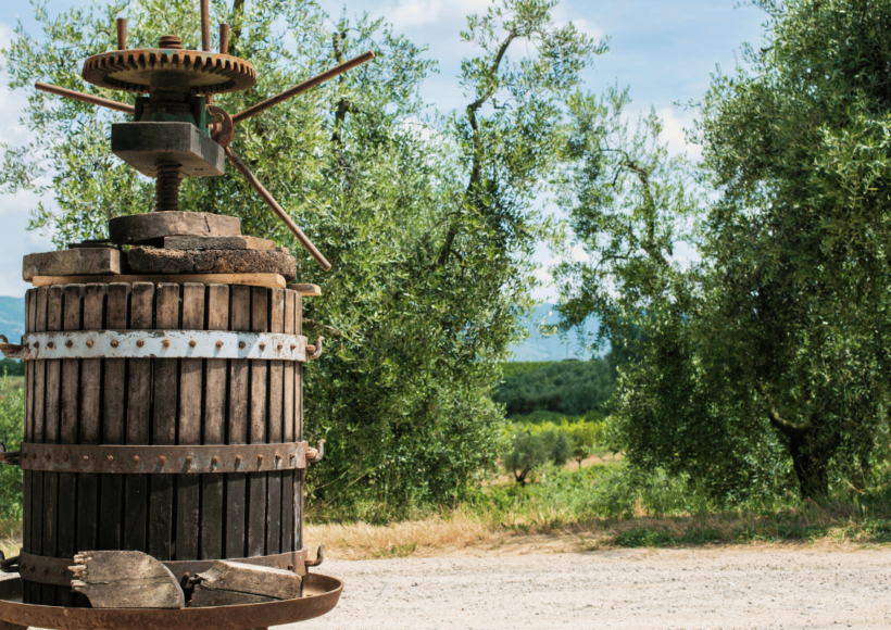 7 Nutritional Perks Of Woodpressed Oil! 34 Discover 7 Amazing Nutritional Perks Of Woodpressed Oil, Rich In Antioxidants, Vitamins, And Healthy Fats For A Balanced Diet.