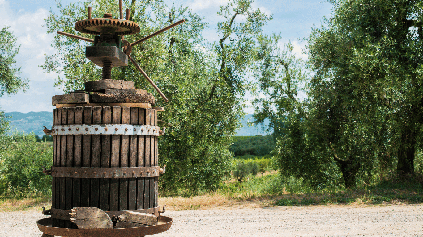 Discover 7 Amazing Nutritional Perks Of Woodpressed Oil, Rich In Antioxidants, Vitamins, And Healthy Fats For A Balanced Diet.