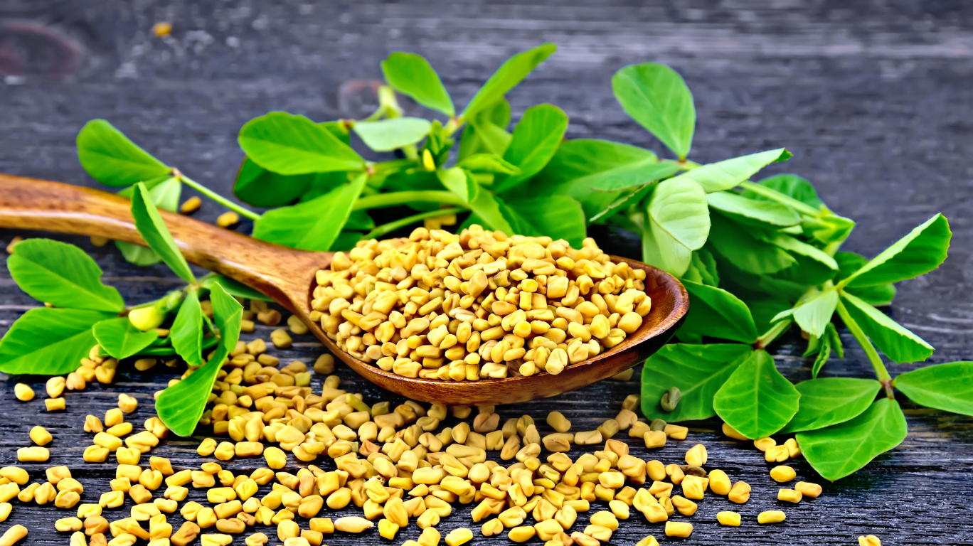  A Broken Cigarette, Symbolizing The Positive Impact Of Quitting Smoking On Improving Male Fertility And Sperm Health.