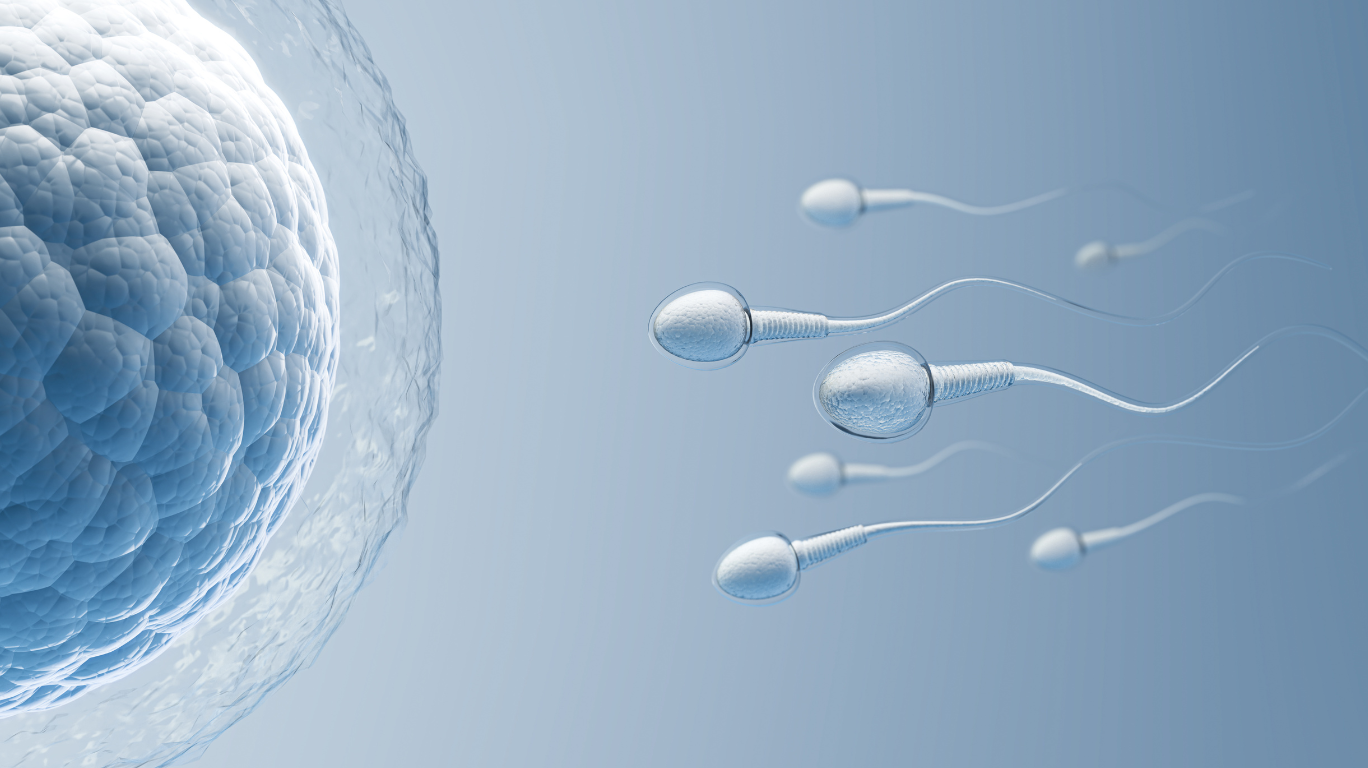 A Healthy Lifestyle, Including Proper Diet, Exercise, And Stress Management, Can Significantly Improve Sperm Health