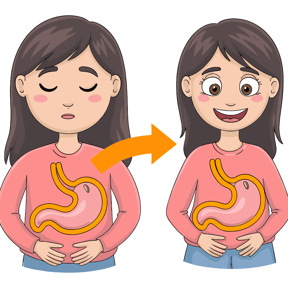 “Natural foods that support gut health and improve digestion”