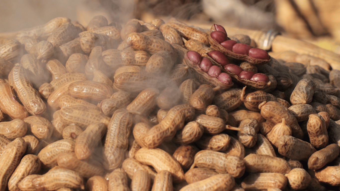 Boiled Peanuts (100G) Offer A Powerful Mix Of Protein, Fiber, Healthy Fats, And Antioxidants. With 13.5G Protein And 22G Good Fats, They’re A Heart-Healthy, Diabetic-Friendly, And Filling Snack!