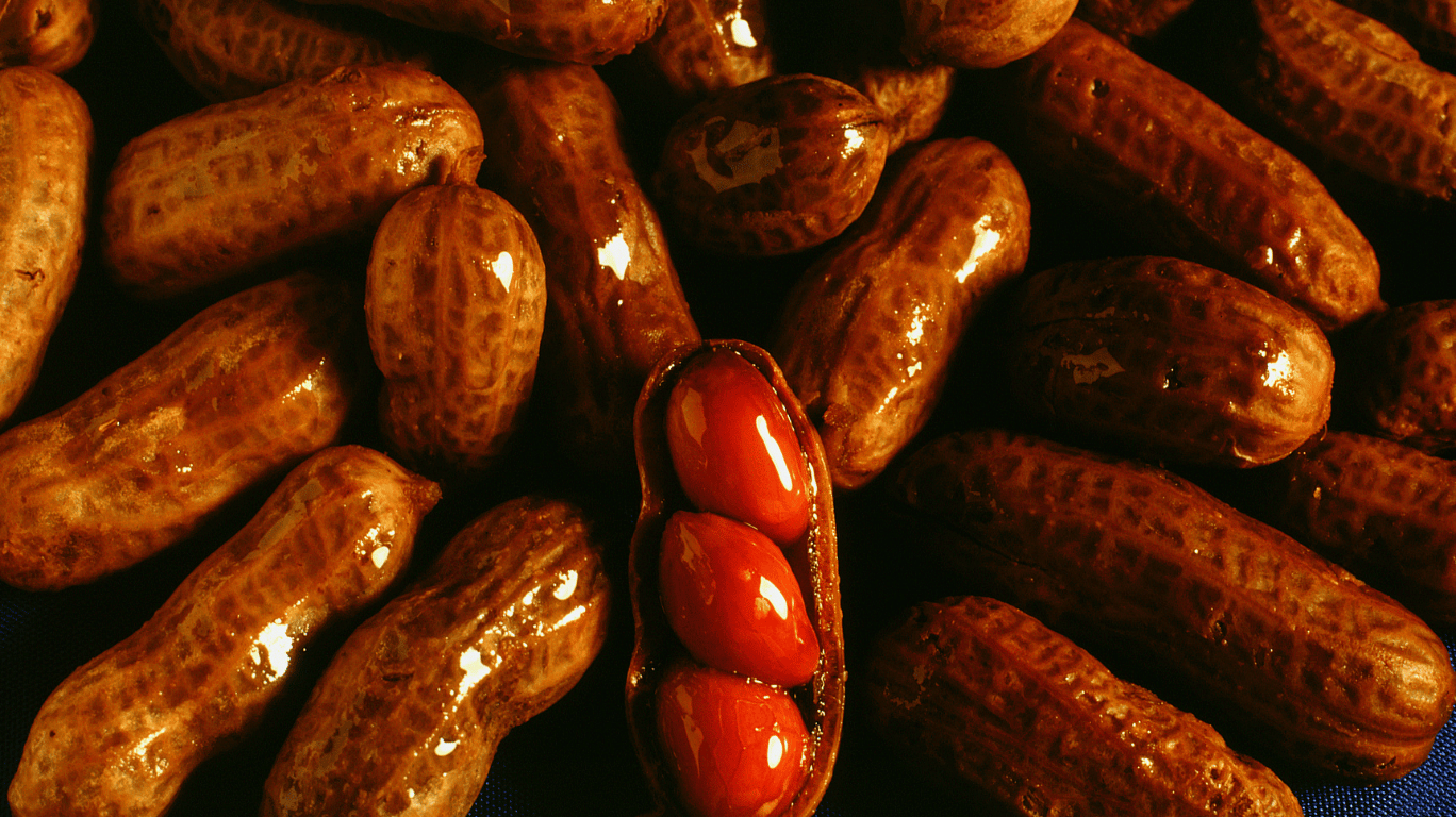 Boiled Peanuts Are A Soft, Salty, And Protein-Rich Snack Packed With Fiber, Antioxidants, And Essential Nutrients — A Healthy And Tasty Treat For All Ages!