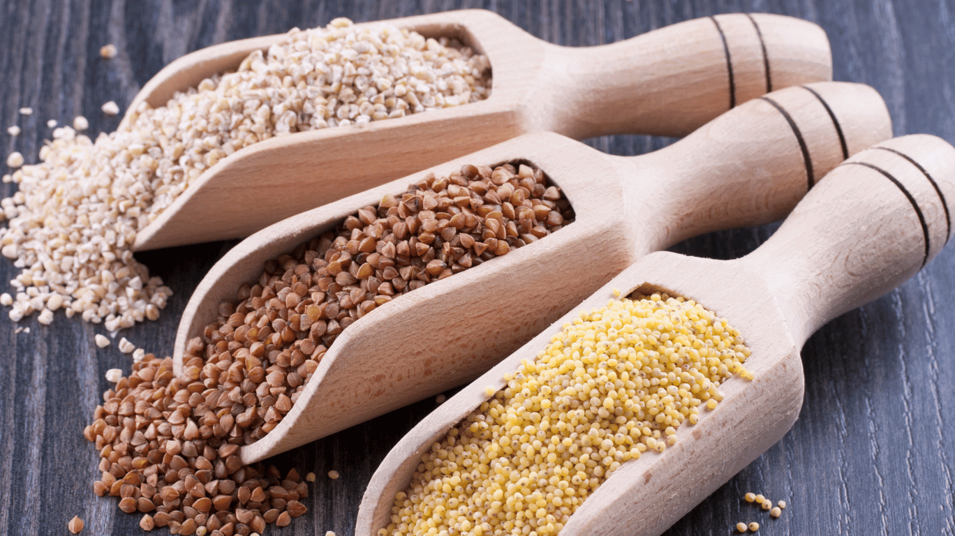 Panivaragu | Proso Millets Health Benefits| Buy Now At The Best Price! 2 Proso Milet