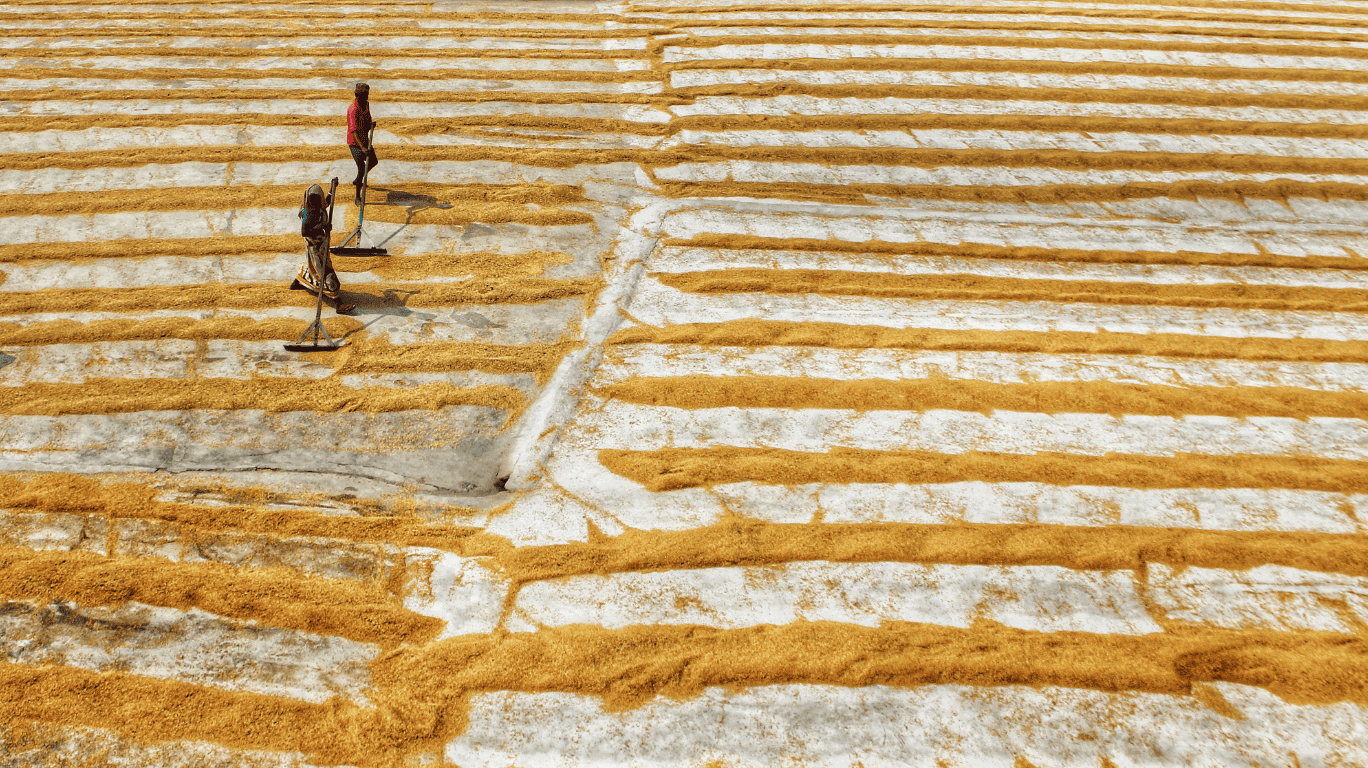 Kodo Millets | Varagu Health Benefits| Buy Now At The Best Price! 2 Why-Choose-Standard-Cold-Pressed-Millets