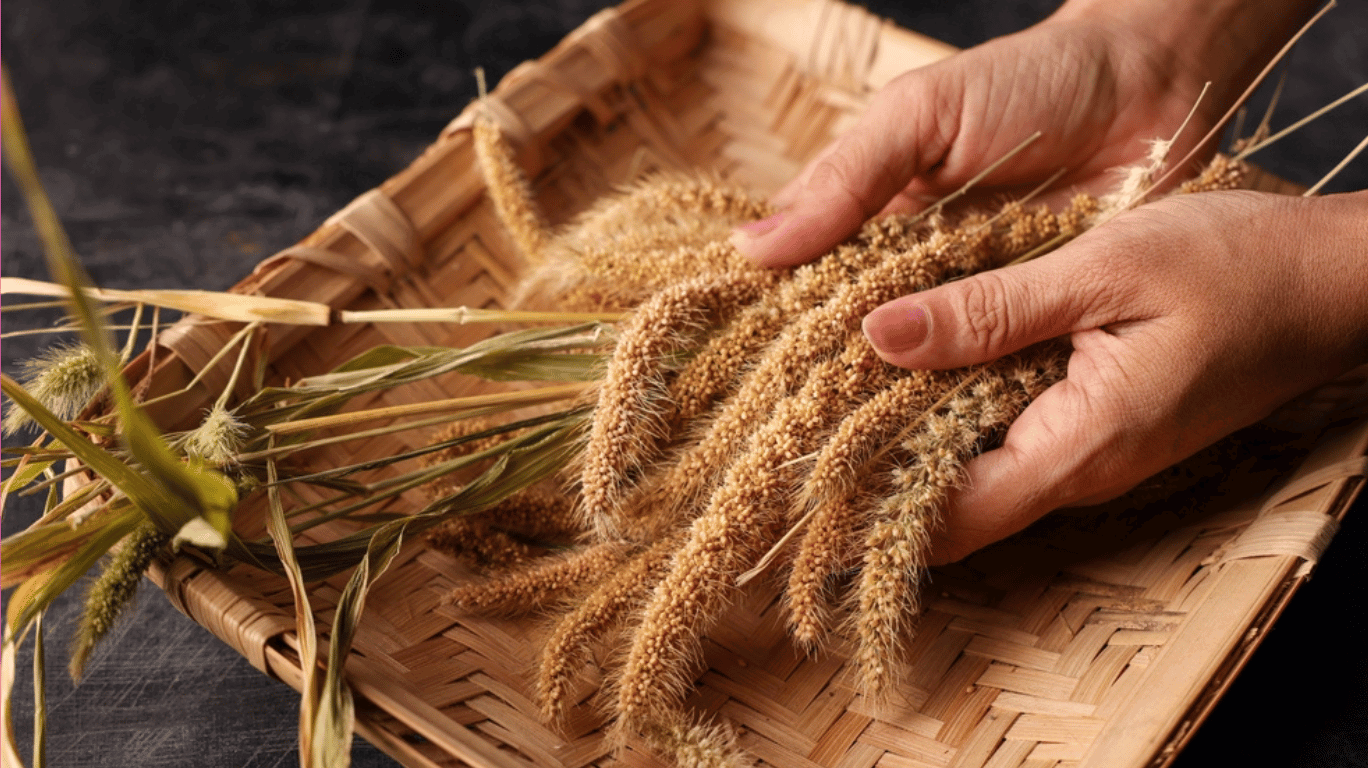 5 Quick Benefits On Samai (Small Millets) 1 5 Quick Benefits Of Samai | Small Millets – Rich In Fiber, Gluten-Free, Promotes Digestion, Boosts Energy, And Supports Weight Loss