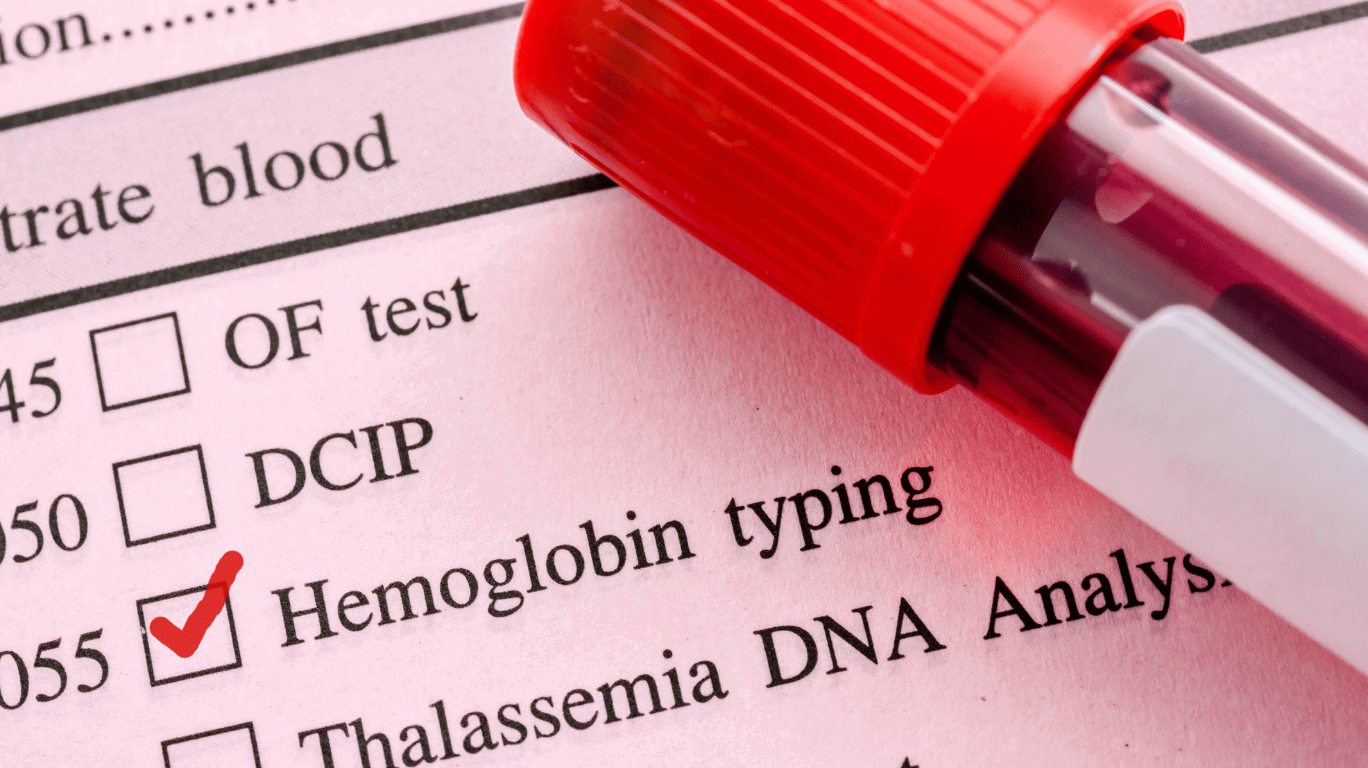 Increase Your Hemoglobin Content