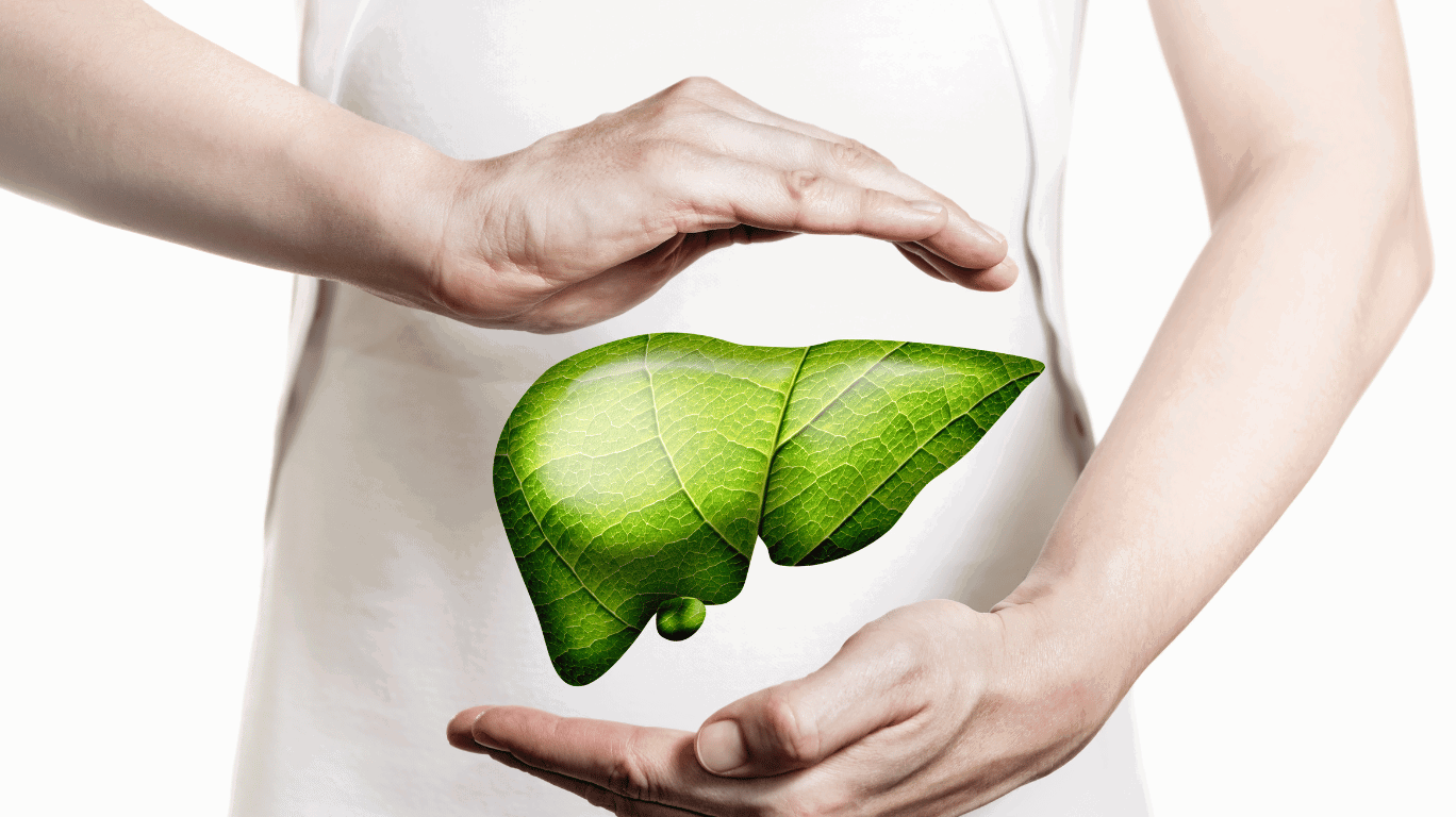  Hibiscus Tea Acts As A Natural Detoxifier By Supporting Liver Function. It Helps Flush Toxins Out Of The Body, Which Is Essential For Maintaining A Healthy Liver. The Antioxidants In Hibiscus Help Neutralize Free Radicals And Reduce Oxidative Stress On The Live