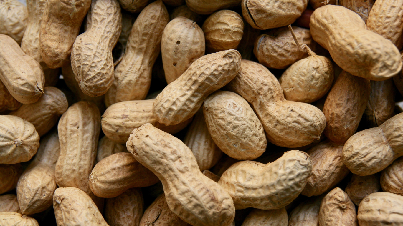 &Quot;A Person Massaging Warm Peanut Oil Into Their Scalp To Nourish Hair And Promote Growth