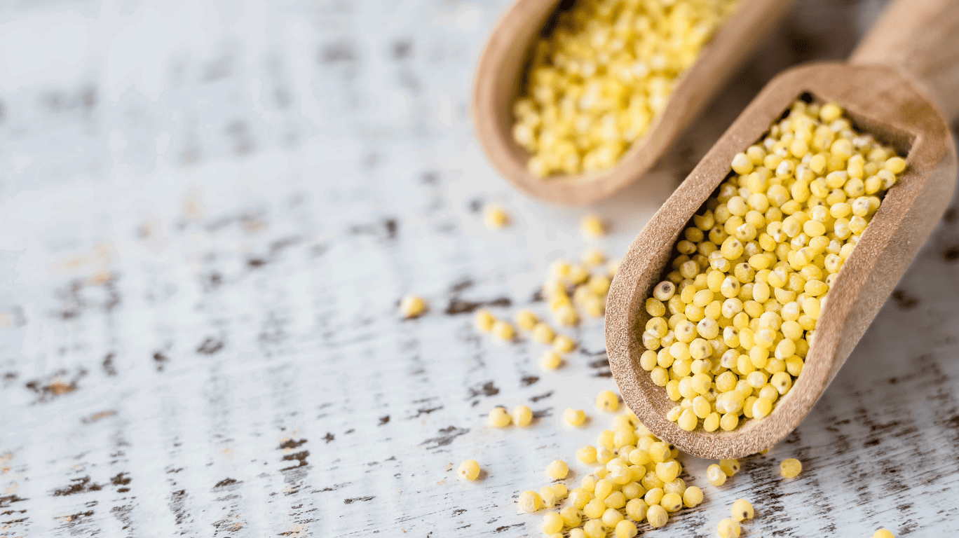 Nutritional Value Of Kodo Millets: High In Fiber, Protein, And Essential Minerals. A Healthy And Gluten-Free Grain, Ideal For Weight Management And Heart Health