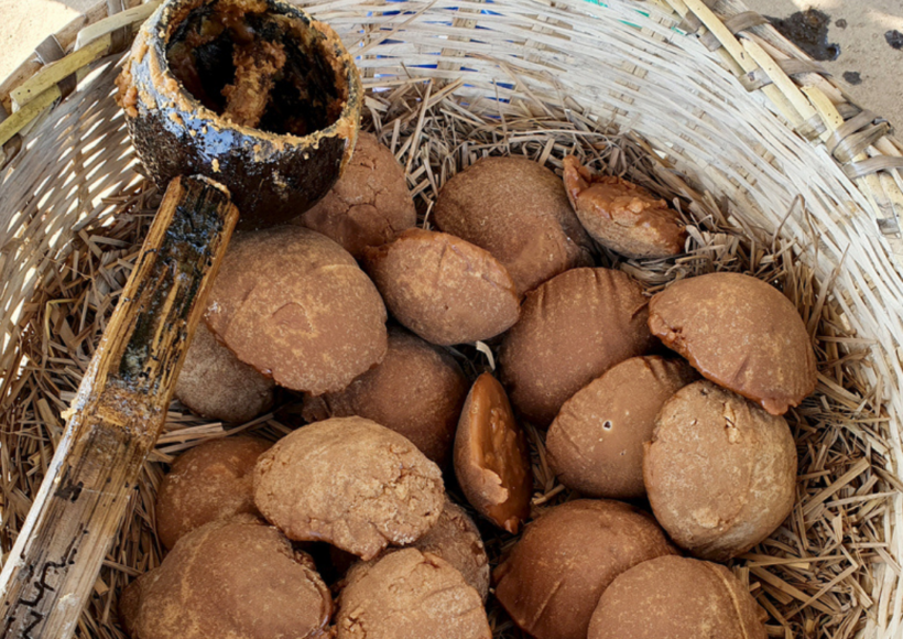 10 Incredible Benefits Of Palm Jaggery (Karupatti) – A Natural &Amp; Healthy Sweetener