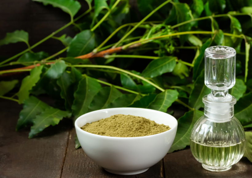 Queen Of Indian Traditional Medicine- Neem Oil'S Jaw Dropping Tips!