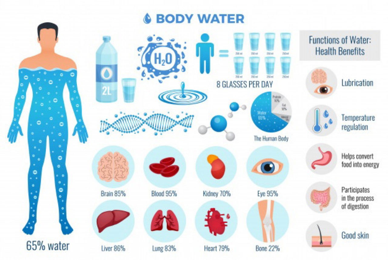 Body Water Set With Water Functions Flat Isolated Vector Illustration 1284