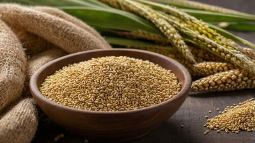 Unpolished Millets For A Healthier You – Buy Fresh, Natural Millets Online! 1 Best Organic Unpolished Millets For Online Purchase, Featuring Barnyard, Kodo, Pearl, And Little Millet Varieties