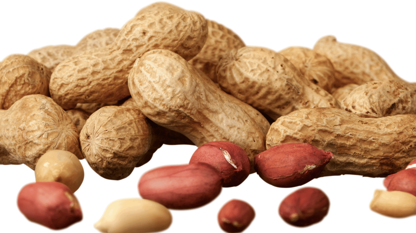 Mustard Oil Vs Groundnut Oil 4 Cold-Pressed Groundnut Oil Is A Pure, Natural Oil Extracted From High-Quality Peanuts Without Using Heat Or Chemicals. Rich In Heart-Healthy Unsaturated Fats, Vitamin E, And Antioxidants, It Supports Cholesterol Control, Boosts Energy, And Enhances Skin Health. With Its Mild Nutty Flavor And High Smoke Point, It’s Ideal For Indian Cooking, Deep Frying, And Daily Wellness.