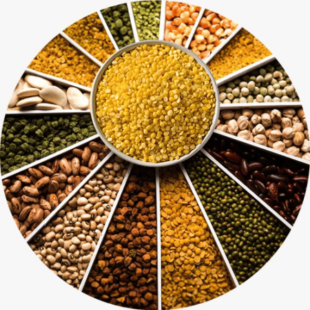 Online Store to Buy the Pulses