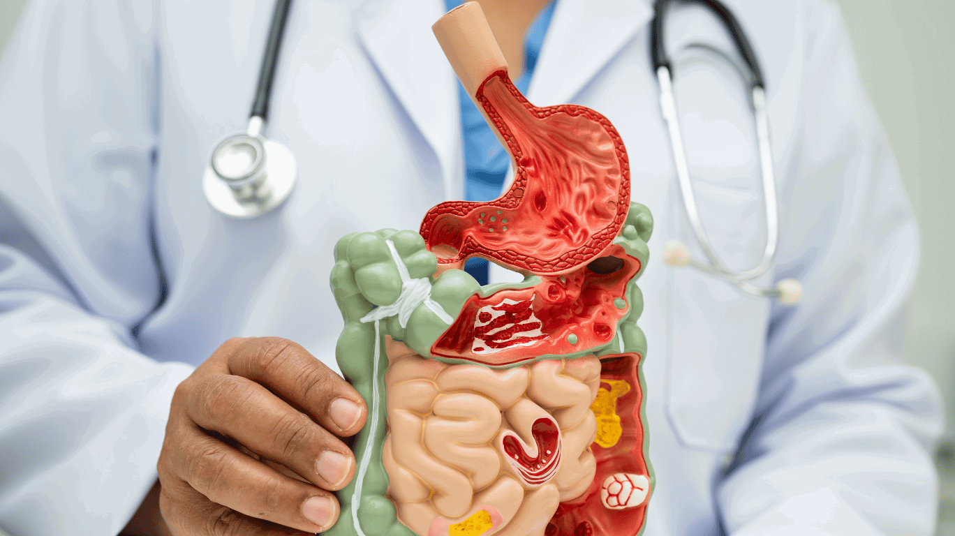 Refined Oil Disadvantages 4 Human Digestive System Showing Major Organs Including Mouth, Esophagus, Stomach, Intestines, Liver, And Pancreas.