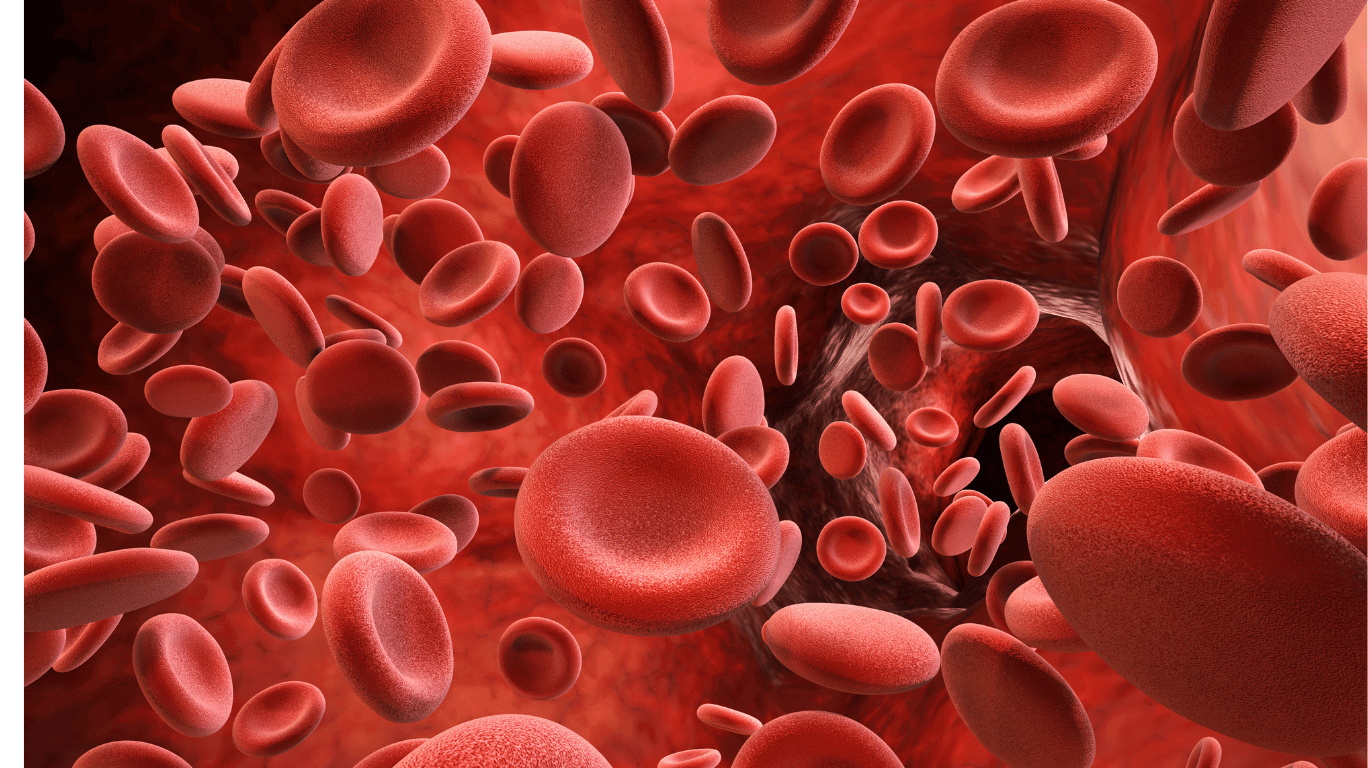 Which Is The Best Sesame Oil Brand In India? Find Out Now! 5 Sesame Oil Is Packed With Antioxidants Like Sesamol And Vitamin E That Protect Body Cells From Damage. Boost Your Cellular Health With Every Drop!