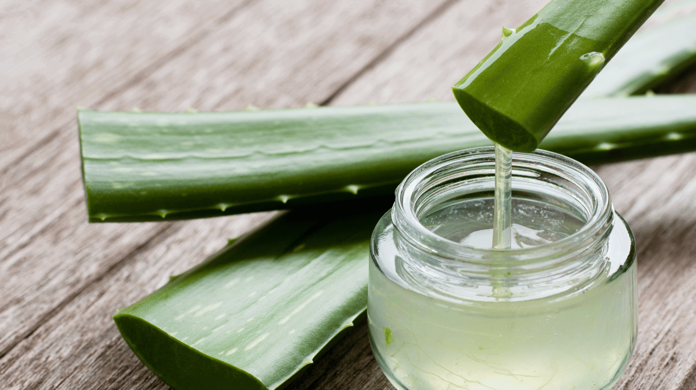 Aloe Vera For Hair Fall – Benefits &Amp; How To Use