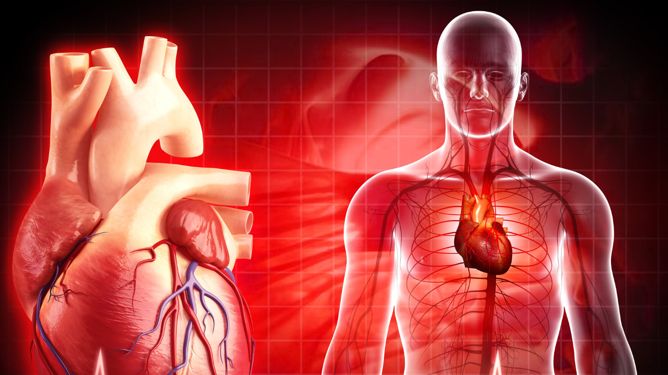 Healthy Foods Like Leafy Greens, Citrus Fruits, And Nuts, Promoting Better Blood Circulation And Heart Health