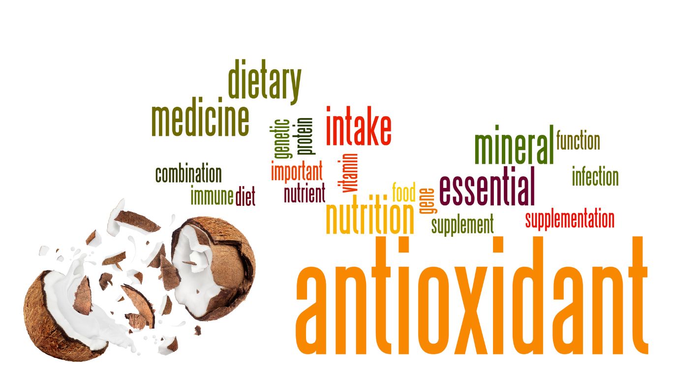 ? Coldpressed தேங்காய் எண்ணெய் ஒரு சக்திவாய்ந்த இயற்கை மருந்தாகக் கருதப்படுகிறது. இதன் மூலம் நாம் பெறும் நோய் எதிர்ப்பு சக்தி, ஒவ்வொரு நாளும் நம் உடலை பாதுகாக்க உதவுகிறது.