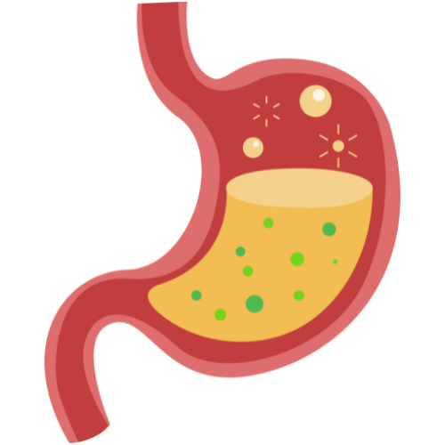 Kalonji Oil for Healthy Digestion