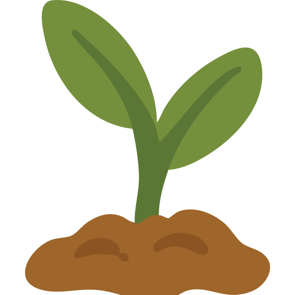 "Sprouted green gram – low in fat, supports skin, eyes, and blood sugar control with enhanced nutrients"