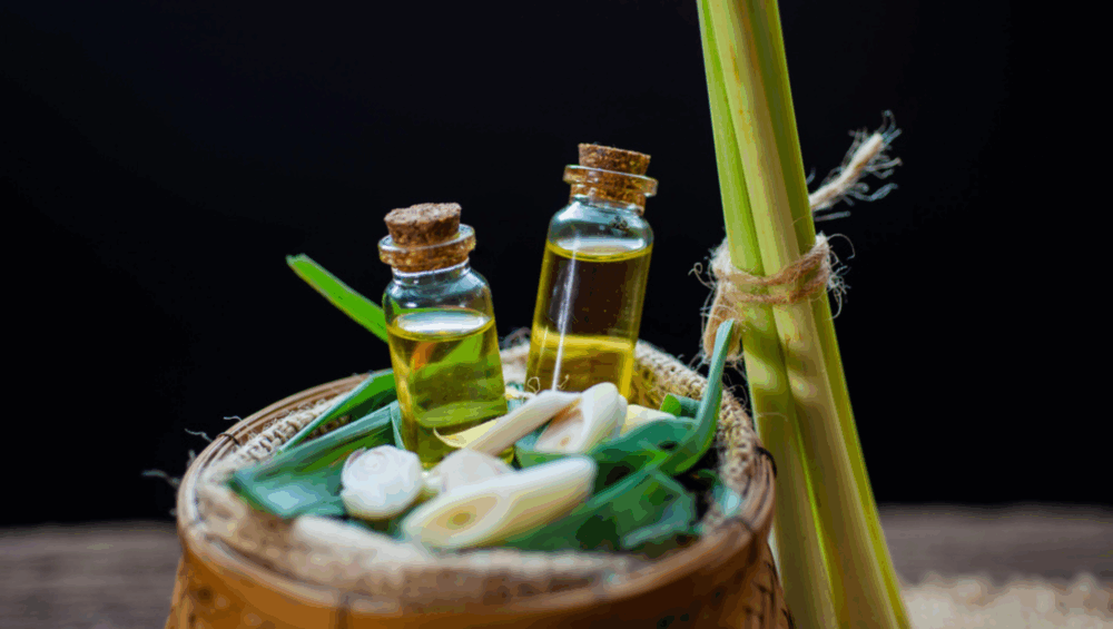 वतीचहा तेल बाटलीत – Lemongrass Essential Oil