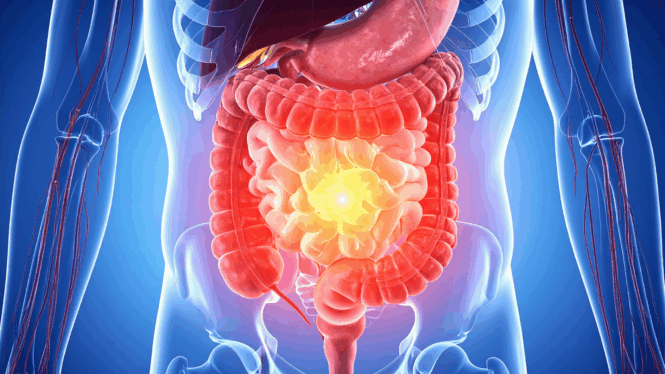 तुम्हाला माहिती आहे का? अन्न पचायला किती वेळ लागतो?